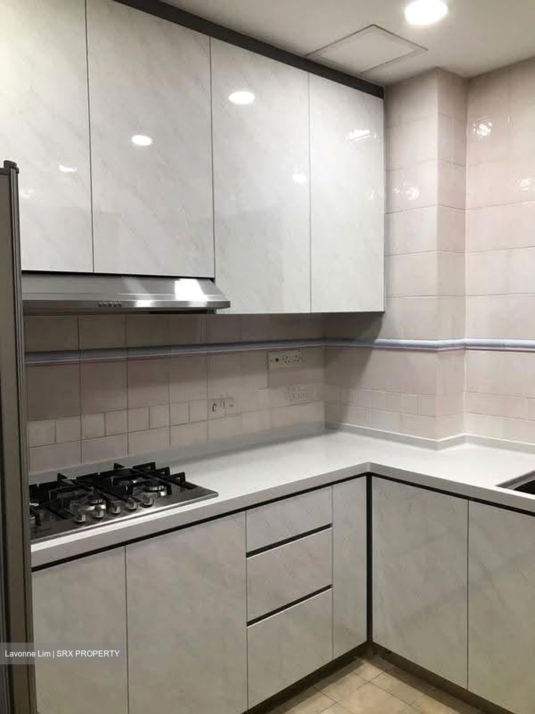 Dover Parkview (D5), Condominium #619307091